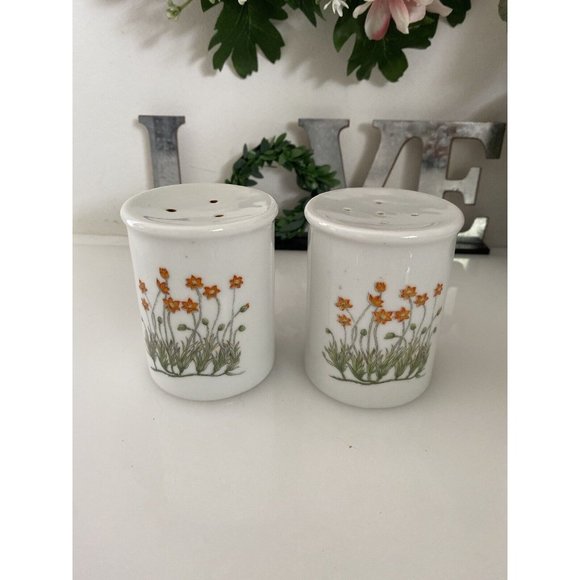 Takashi Ceramic Salt and Pepper Shakers‎ Orange Flowers - Picture 1 of 16